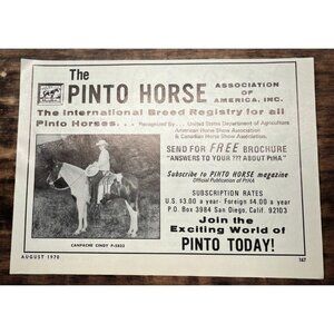 Pinto Horse Breeders Association Vintage Print Ad 1970s Horse Registry San Diego